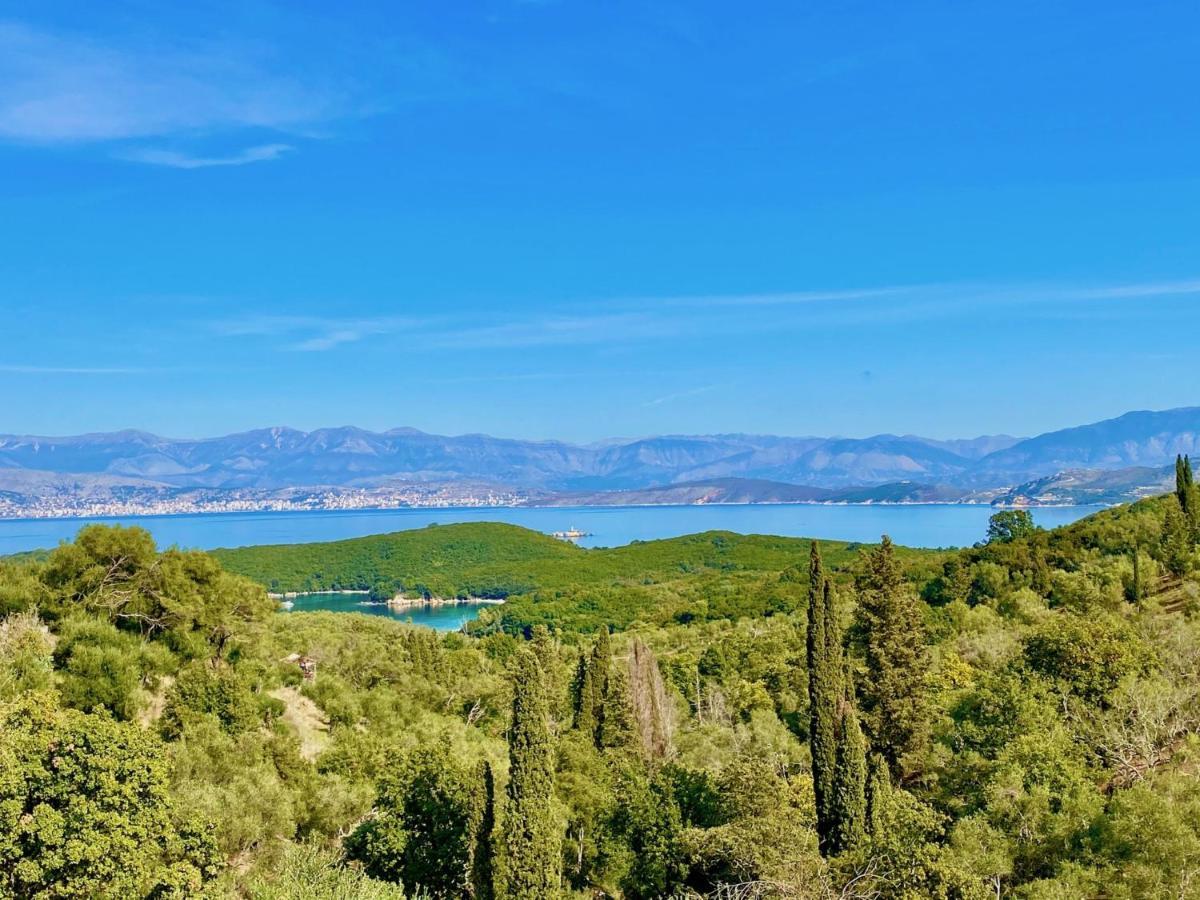 Luxury Artemisia With Private Pool Villa